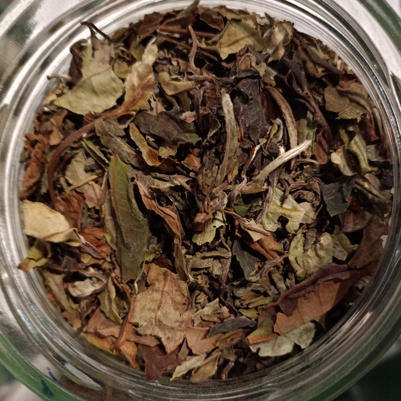 Te blanco Bio vainilla