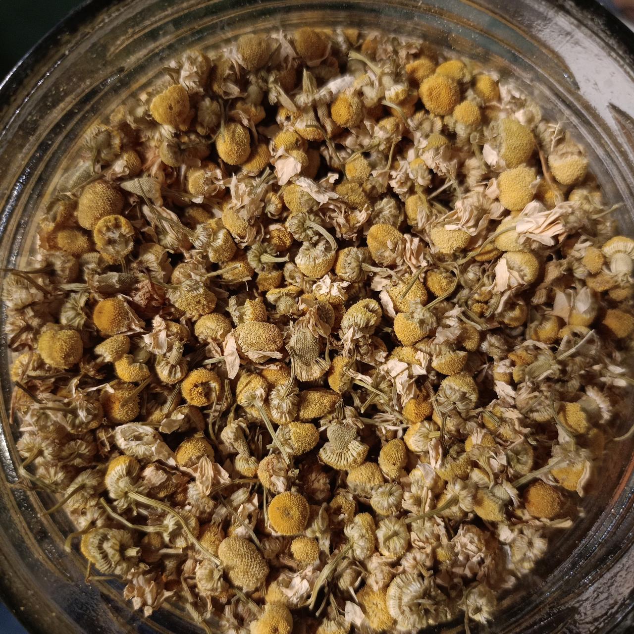 Manzanilla con anis Bio