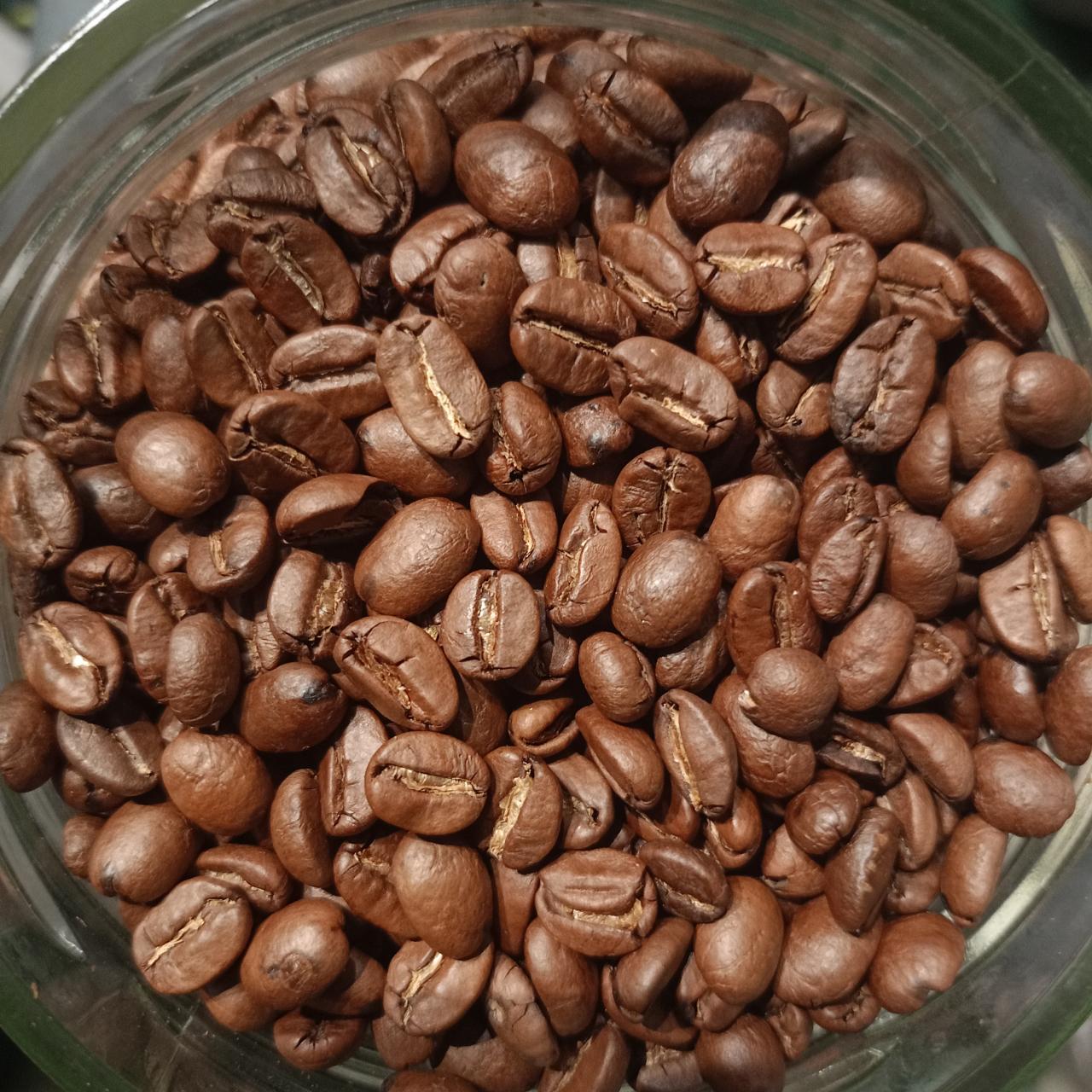 C14 cafe Cuba Turquino