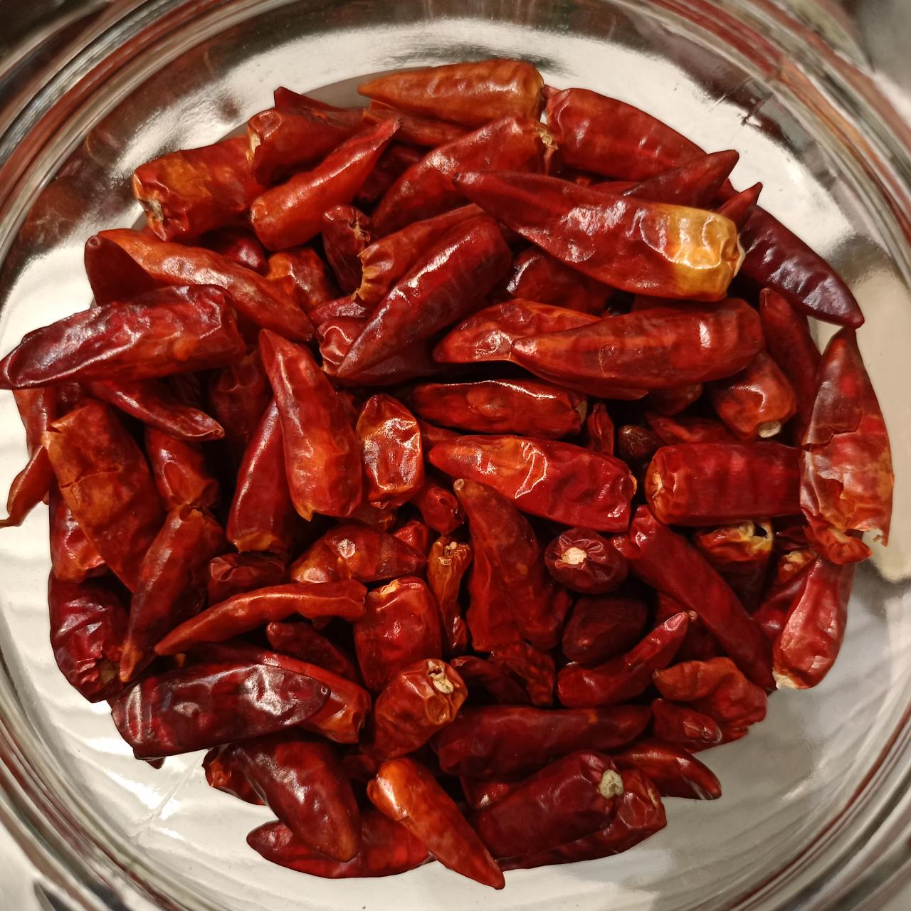 cayena rama ojo pajaro