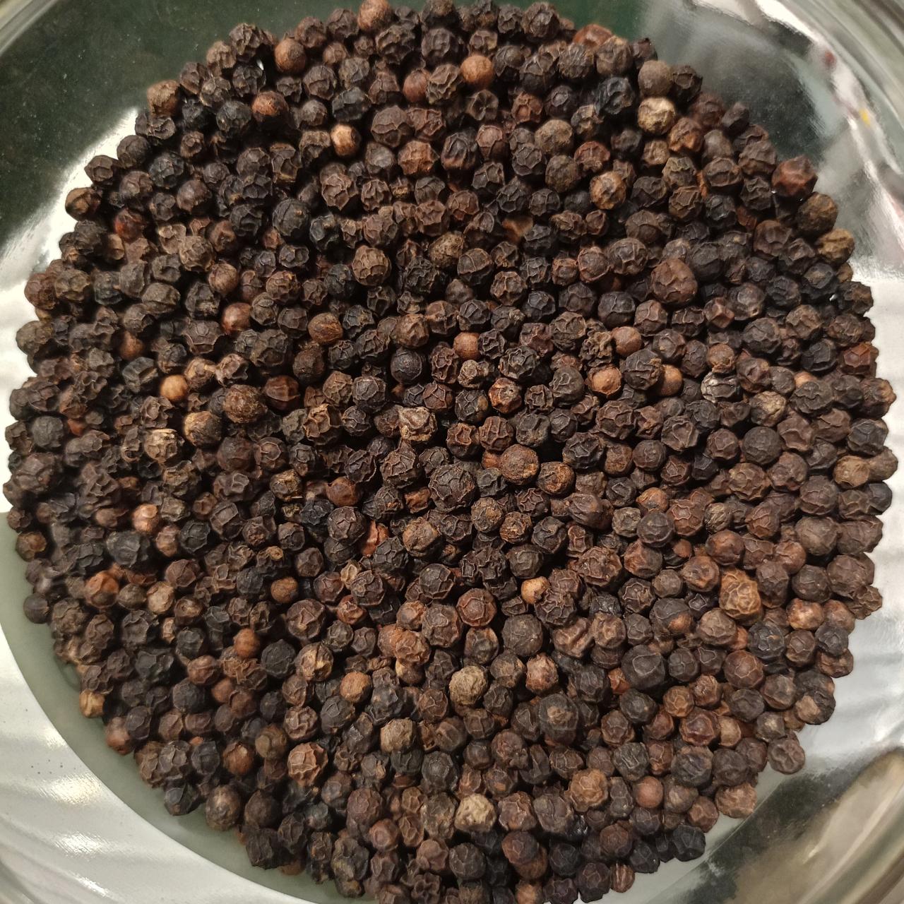 pimienta negra Lampong
