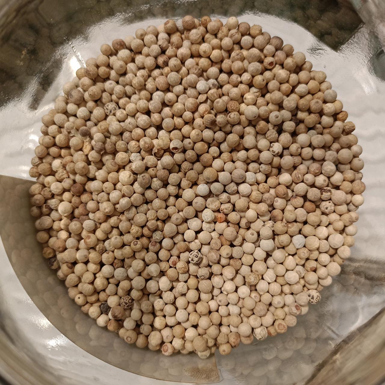 pimienta blanca grano Sarawak Vietnam