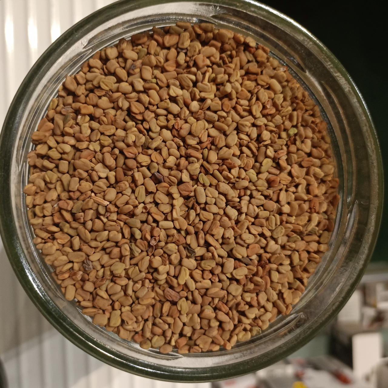 alholva BIO fenogreco semilla