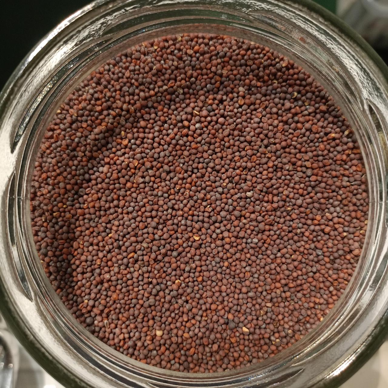 mostaza grano marron