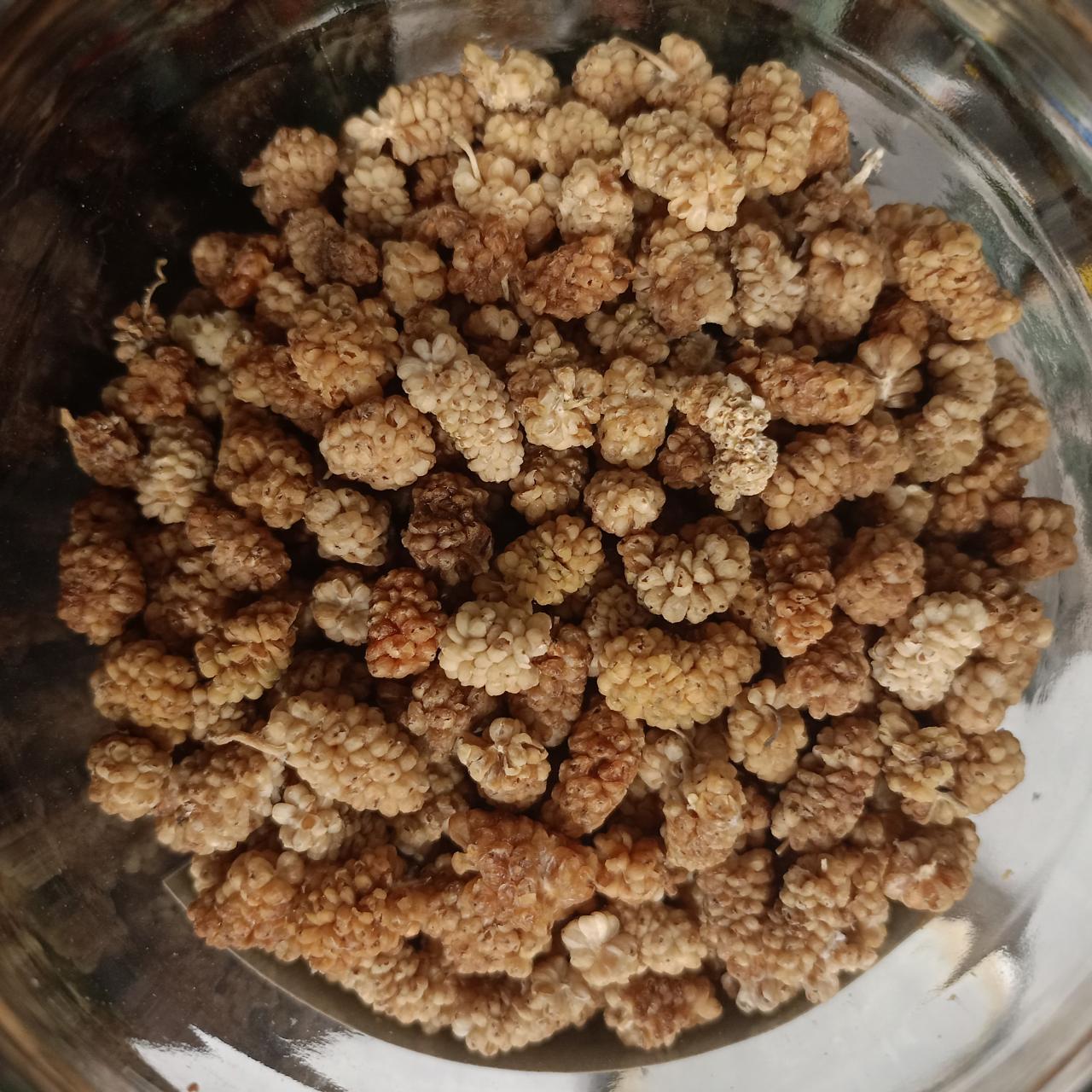 moras blancas bio s/a