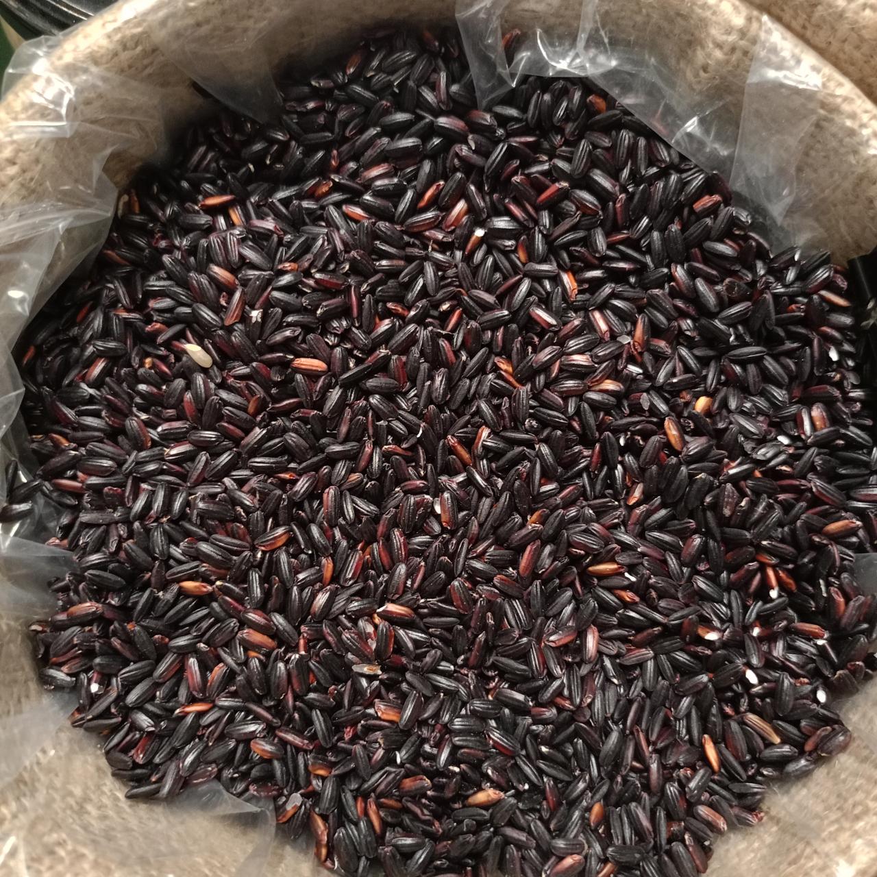 arroz negro venere ITALIANO