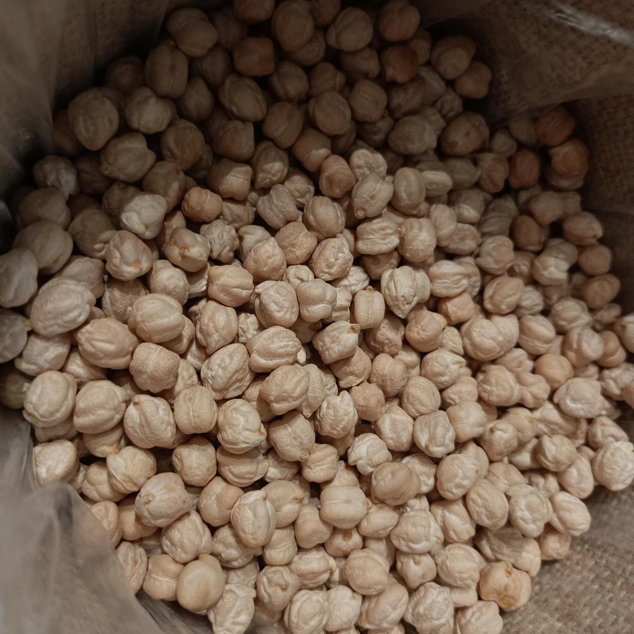 garbanzo castellano zamorano