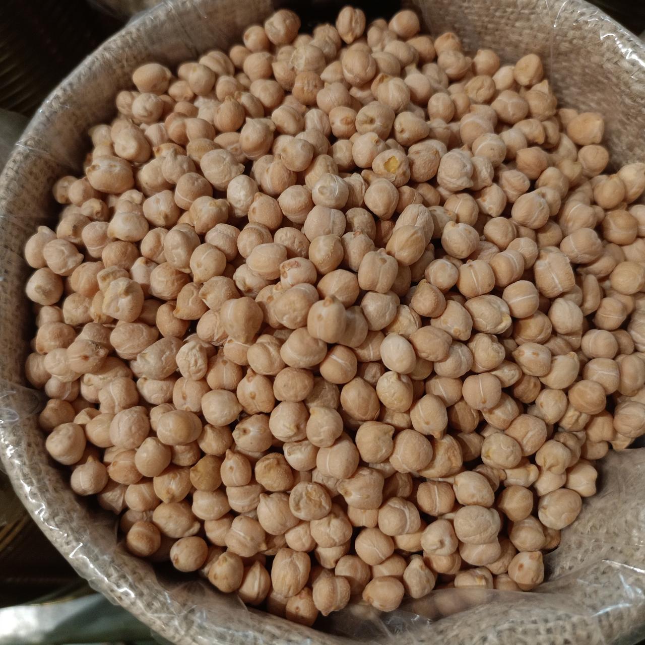 garbanzo bio pedrosillano