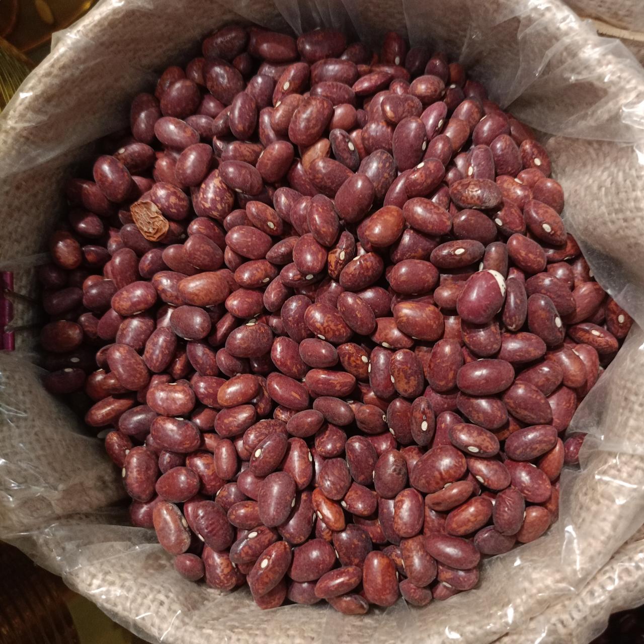 Alubia palmeña guernica