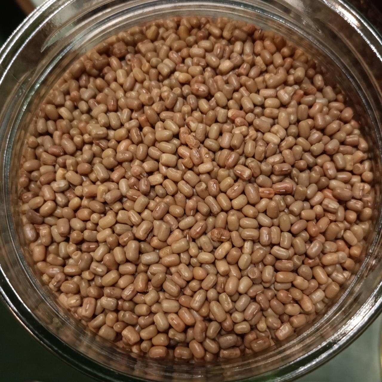 Lenteja marron india granel