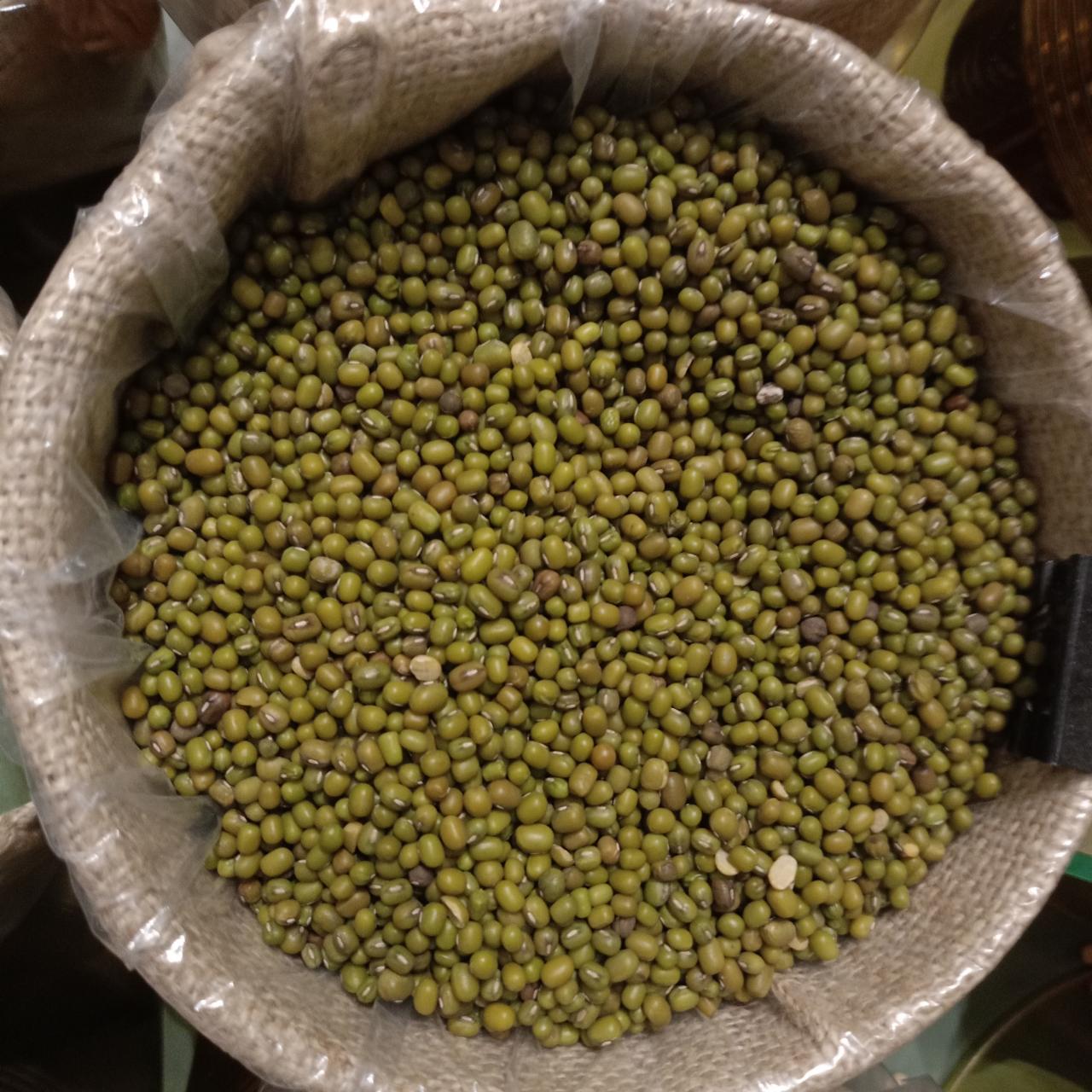 Soja verde BIO mungo