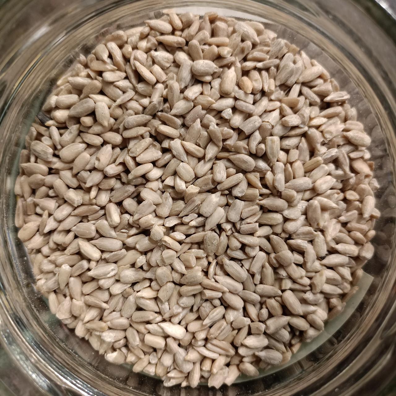 semillas de girasol pipas