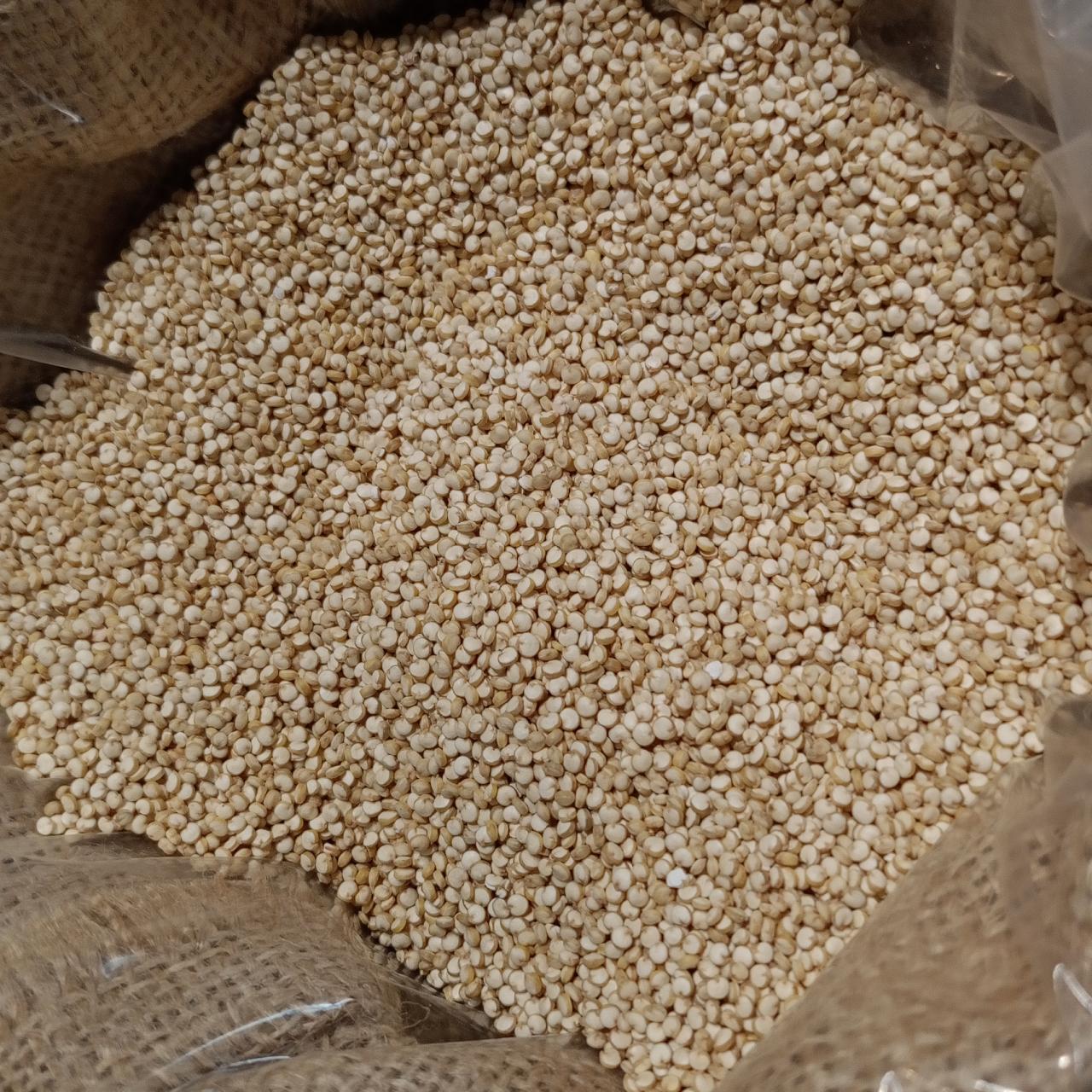 quinoa blanca bio