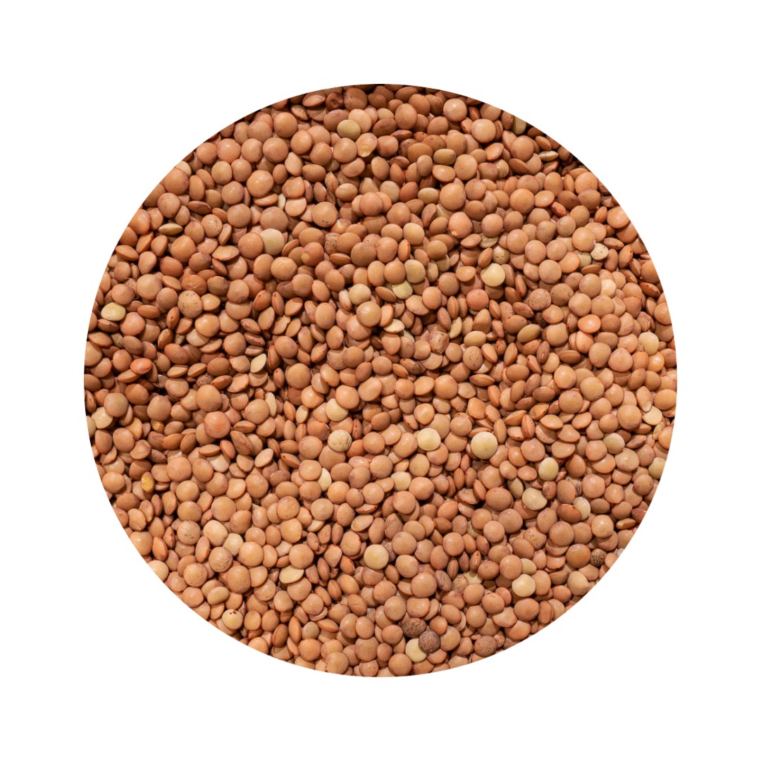 lenteja eston bio