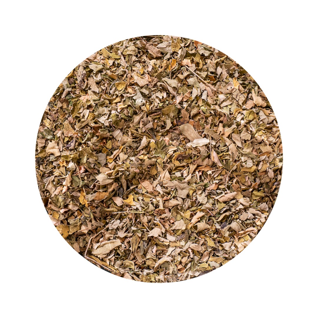moringa hoja BIO