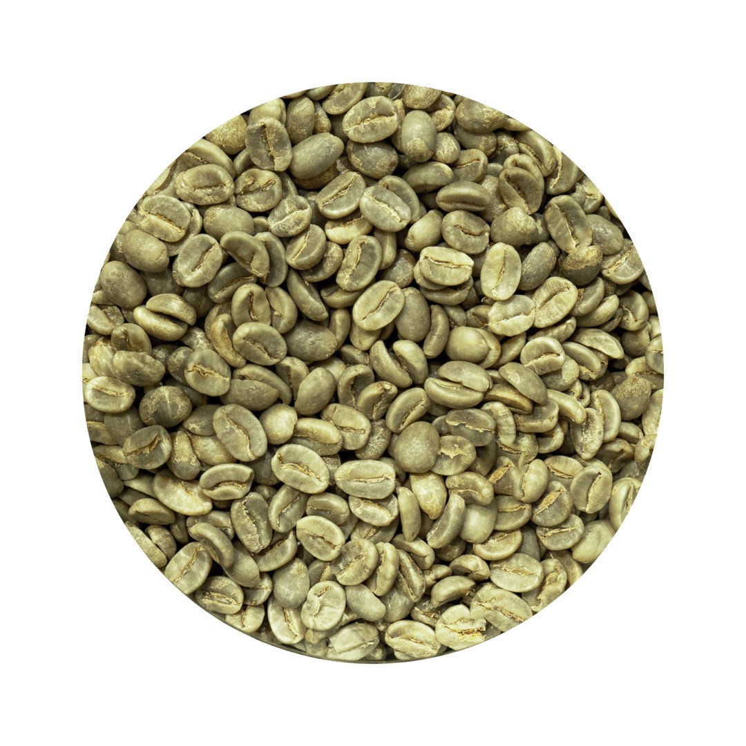 Cafe verde Brasil Santos