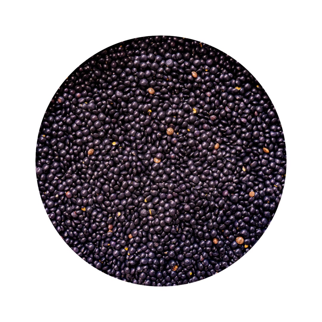 lenteja caviar