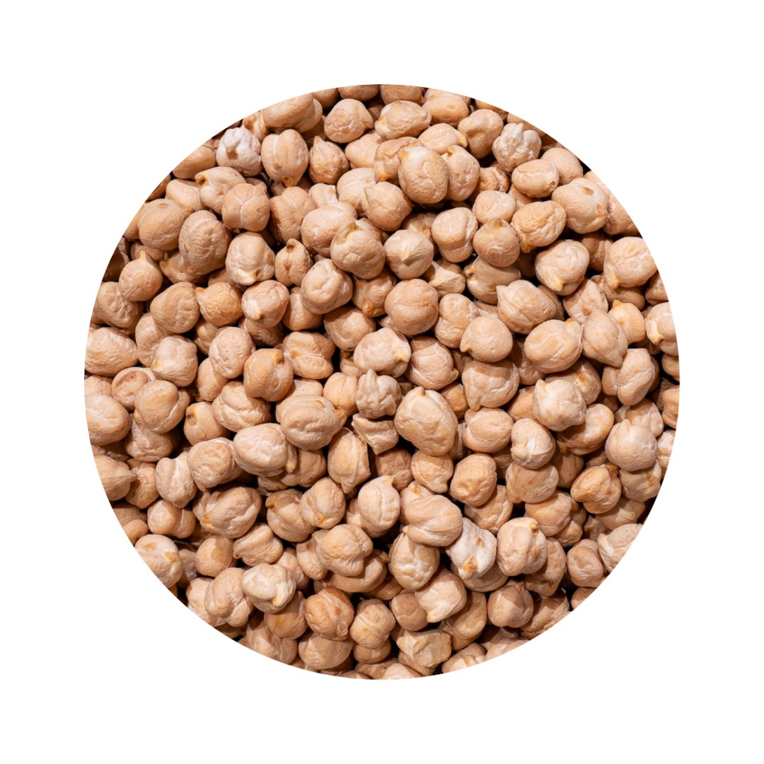 Garbanzo gordo bio